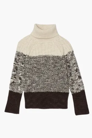 Chunky Knit Long Sleeve Turtleneck