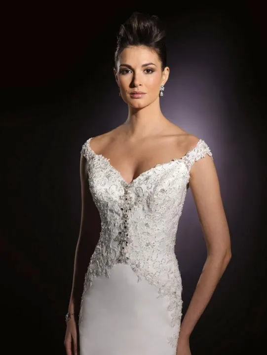 James Clifford Size 8 Pure Silk Wedding Dress Lace Embellished Fit Flare sheer sleeve